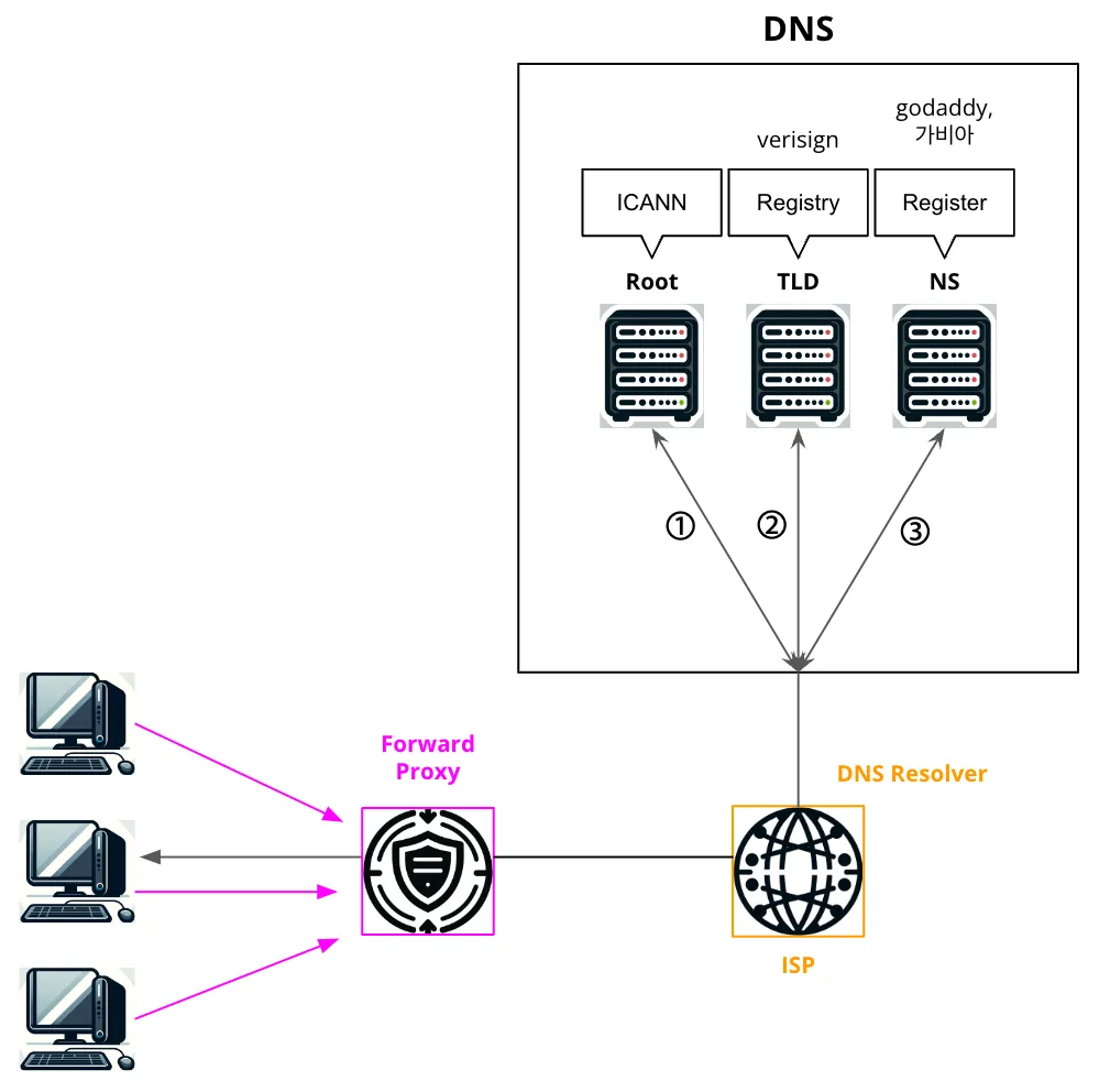 dns 구조도